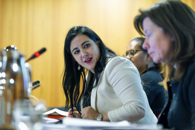 Dra. Hiba Qasas