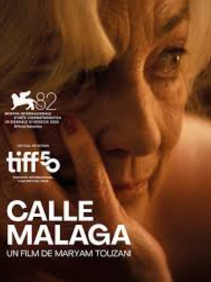 Calle Málaga